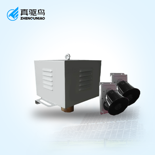 zqn20240204c.png