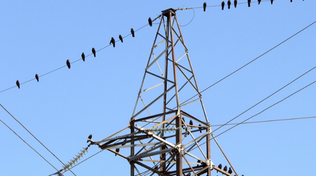 Solar AI Intelligent Laser Bird Repeller, Triple Technology Bird Repeller to Guard the Grid