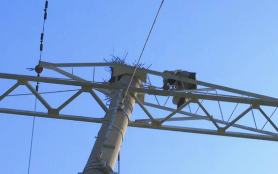 Remote voice intelligent bird repeller, multiple power supply modes help tower bird repellent without dead angle