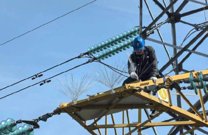 Anti-bird spikes device, stainless steel spiral anti-bird spikes to build a strong tower bird safety line of defense